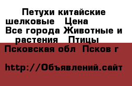 Петухи китайские шелковые › Цена ­ 1 000 - Все города Животные и растения » Птицы   . Псковская обл.,Псков г.